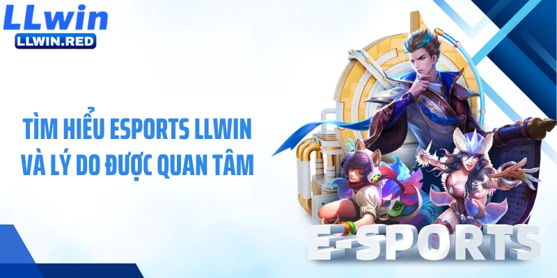 Tìm hiểu Esports LLWIN và lý do được quan tâm